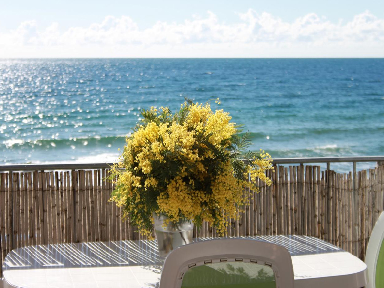Appartement T2 Balcon